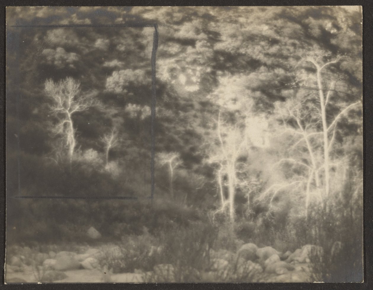 [Paisaje con árboles claros] de Louis Fleckenstein