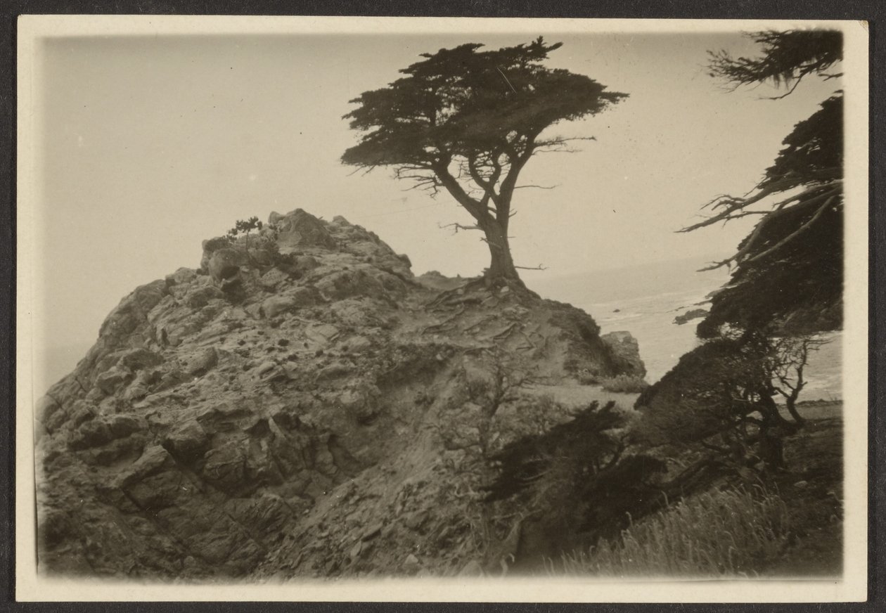[Paisaje con un ciprés solitario] de Louis Fleckenstein