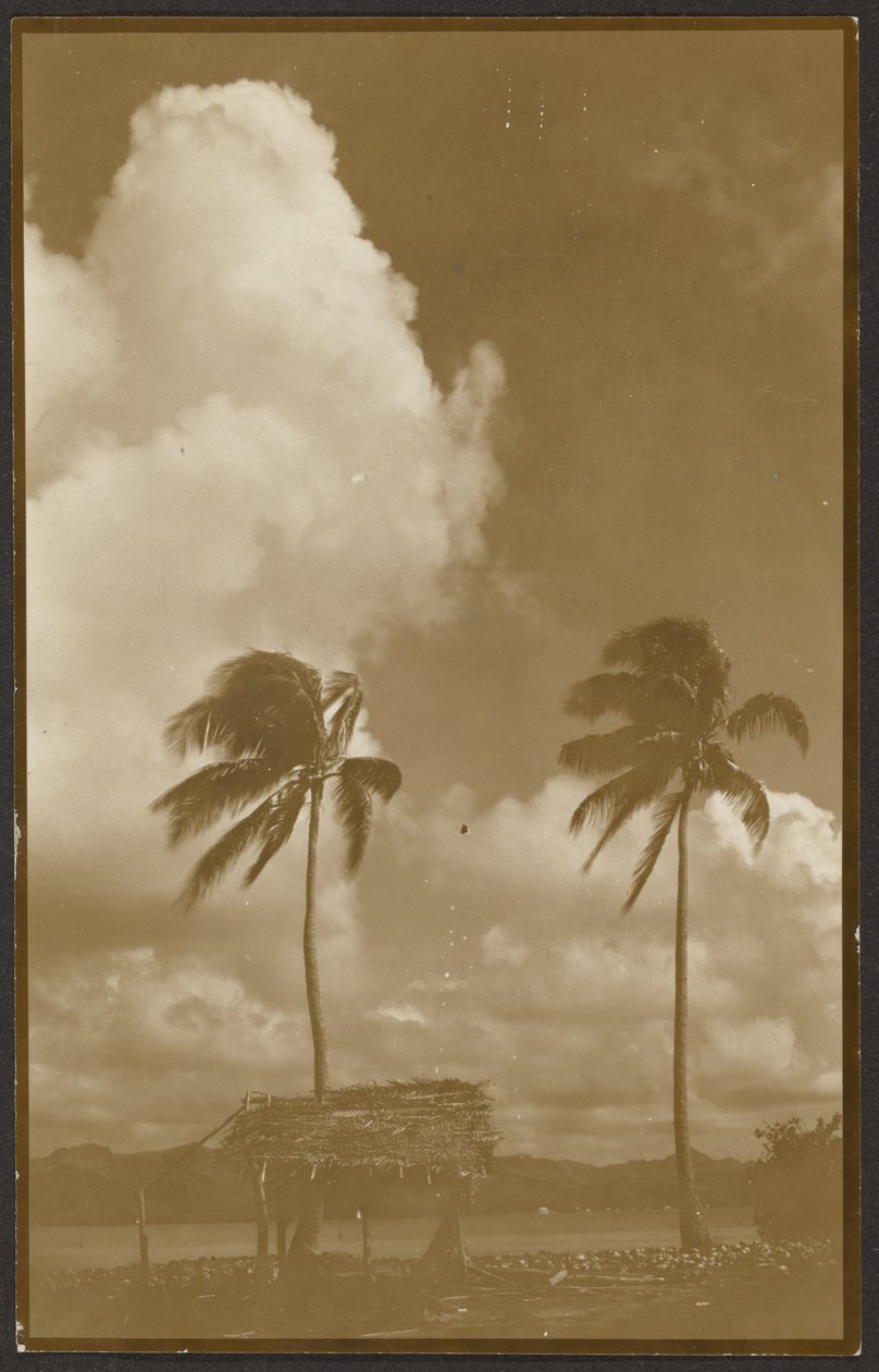 Paisaje con palmeras de Louis Fleckenstein