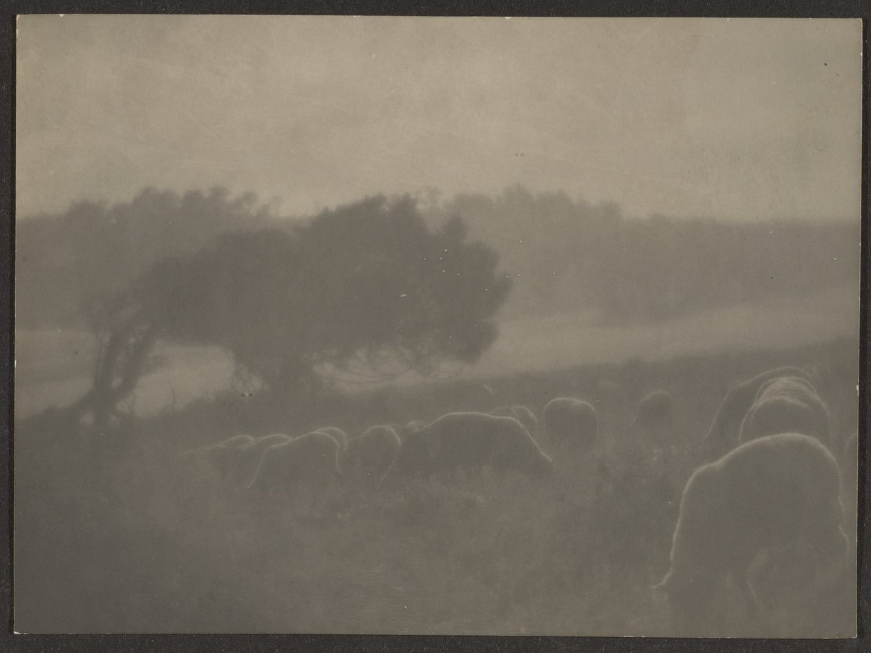 [Paisaje con ovejas] de Louis Fleckenstein