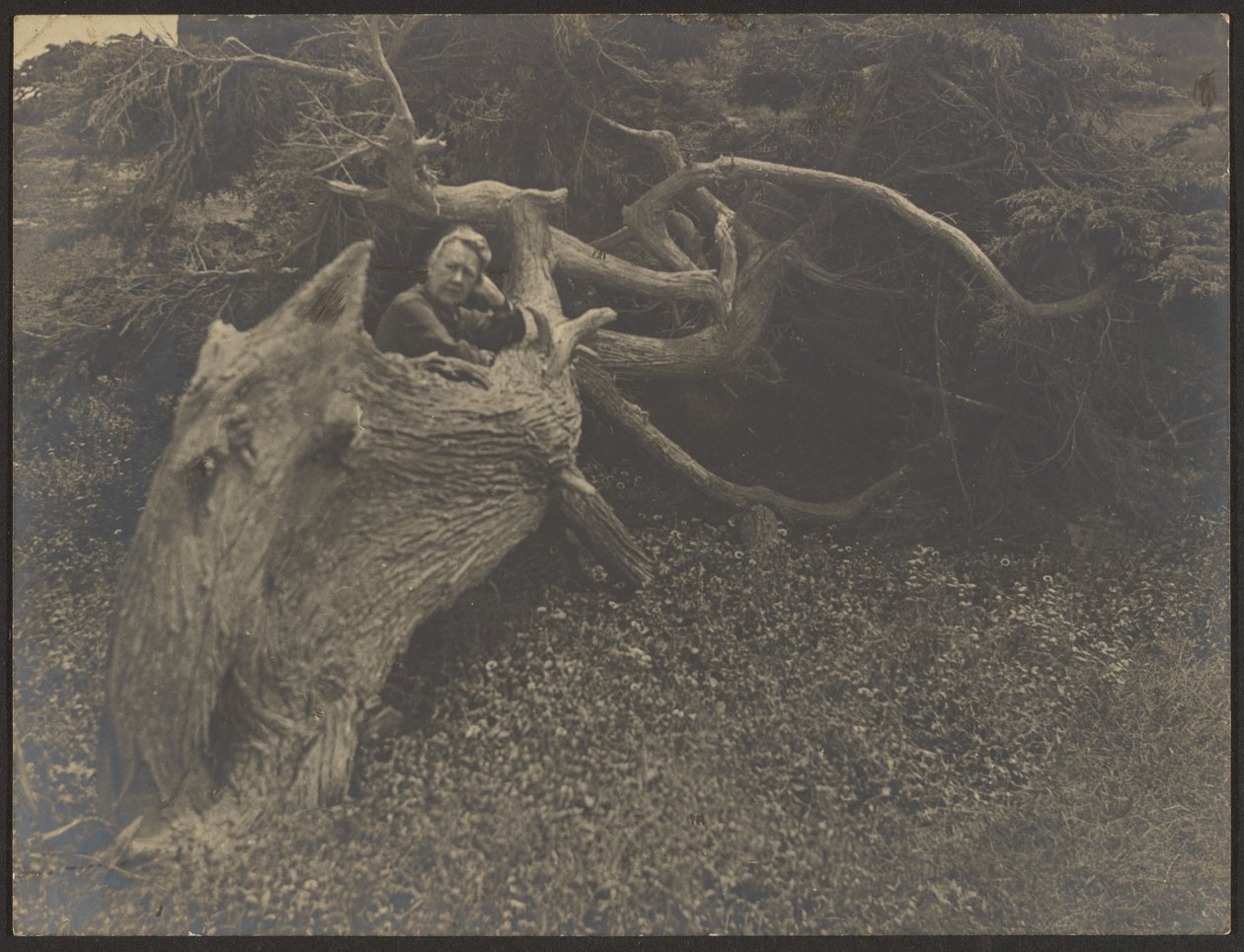 [La señora Fleckenstein apoyada en un gran árbol caído] de Louis Fleckenstein