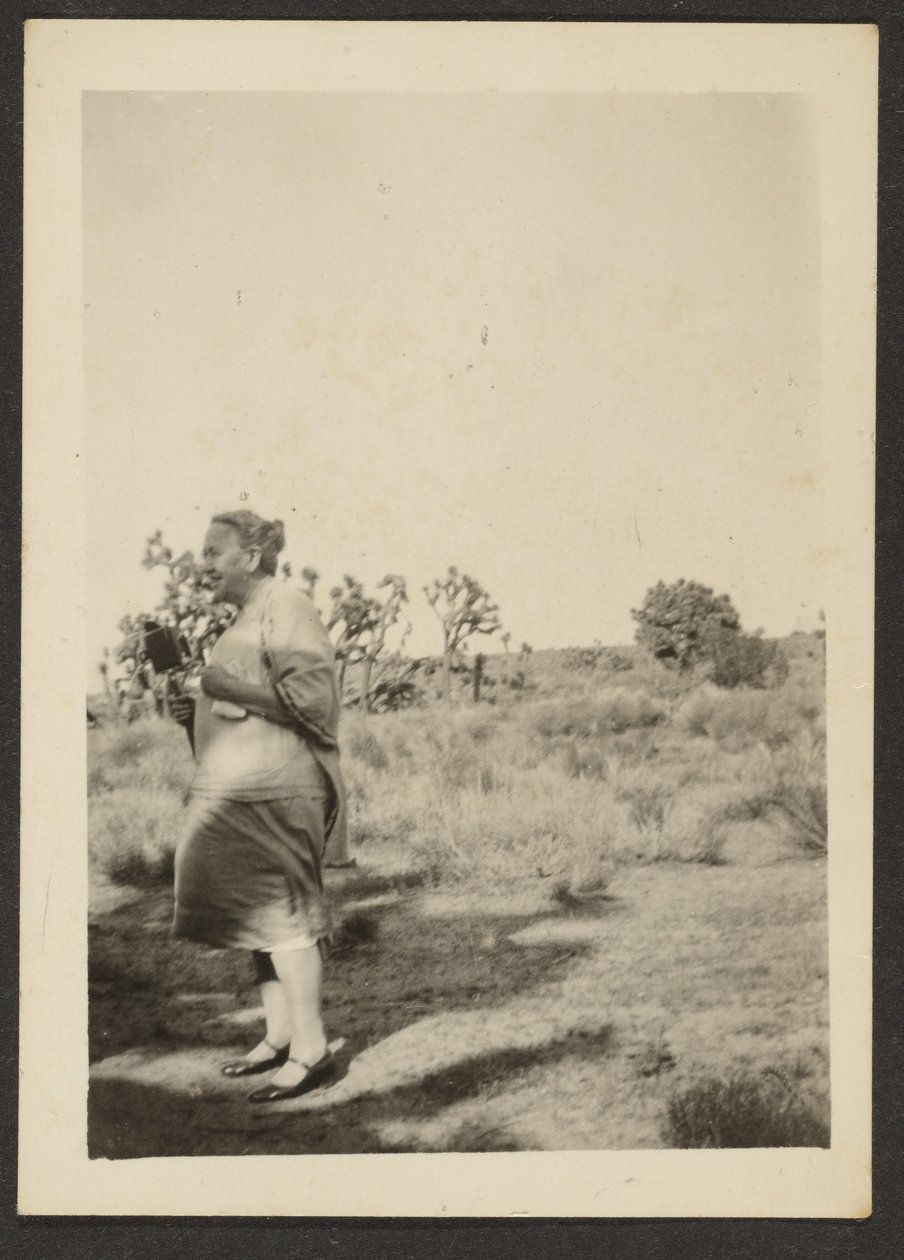 [Sra. Fleckenstein en Paisaje] de Louis Fleckenstein