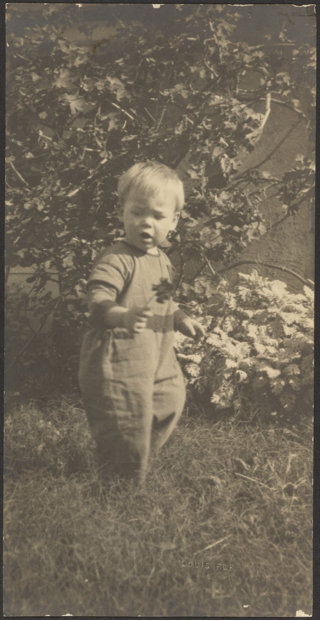 [Retrato de un niño en el jardín] de Louis Fleckenstein