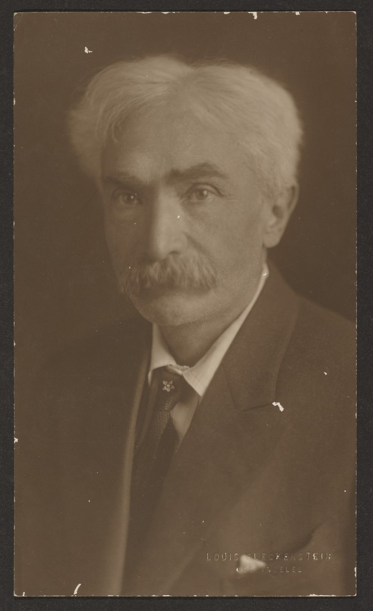 [Retrato de un hombre con un alfiler de corbata con forma de flor] de Louis Fleckenstein