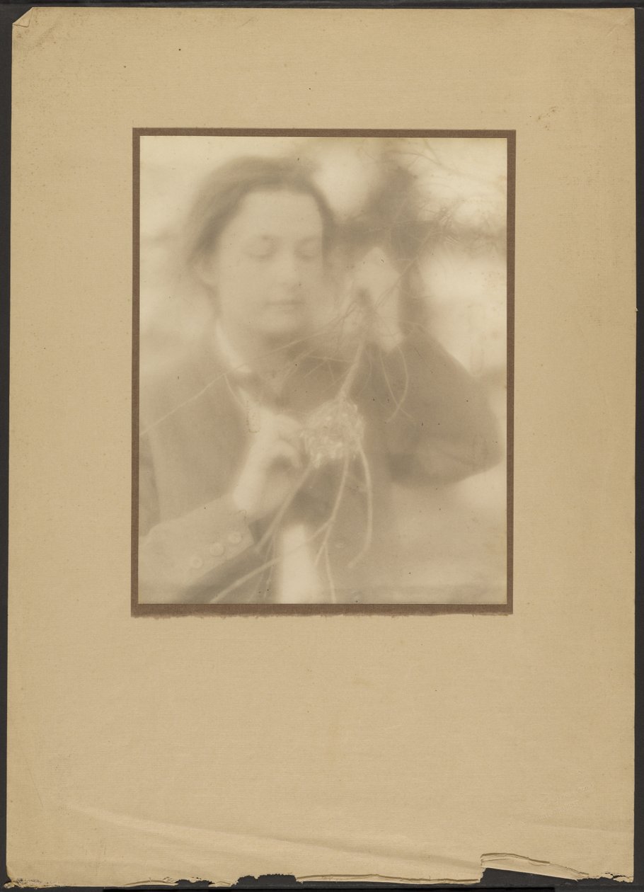 [Retrato de mujer con nido de pájaro y rama] de Louis Fleckenstein