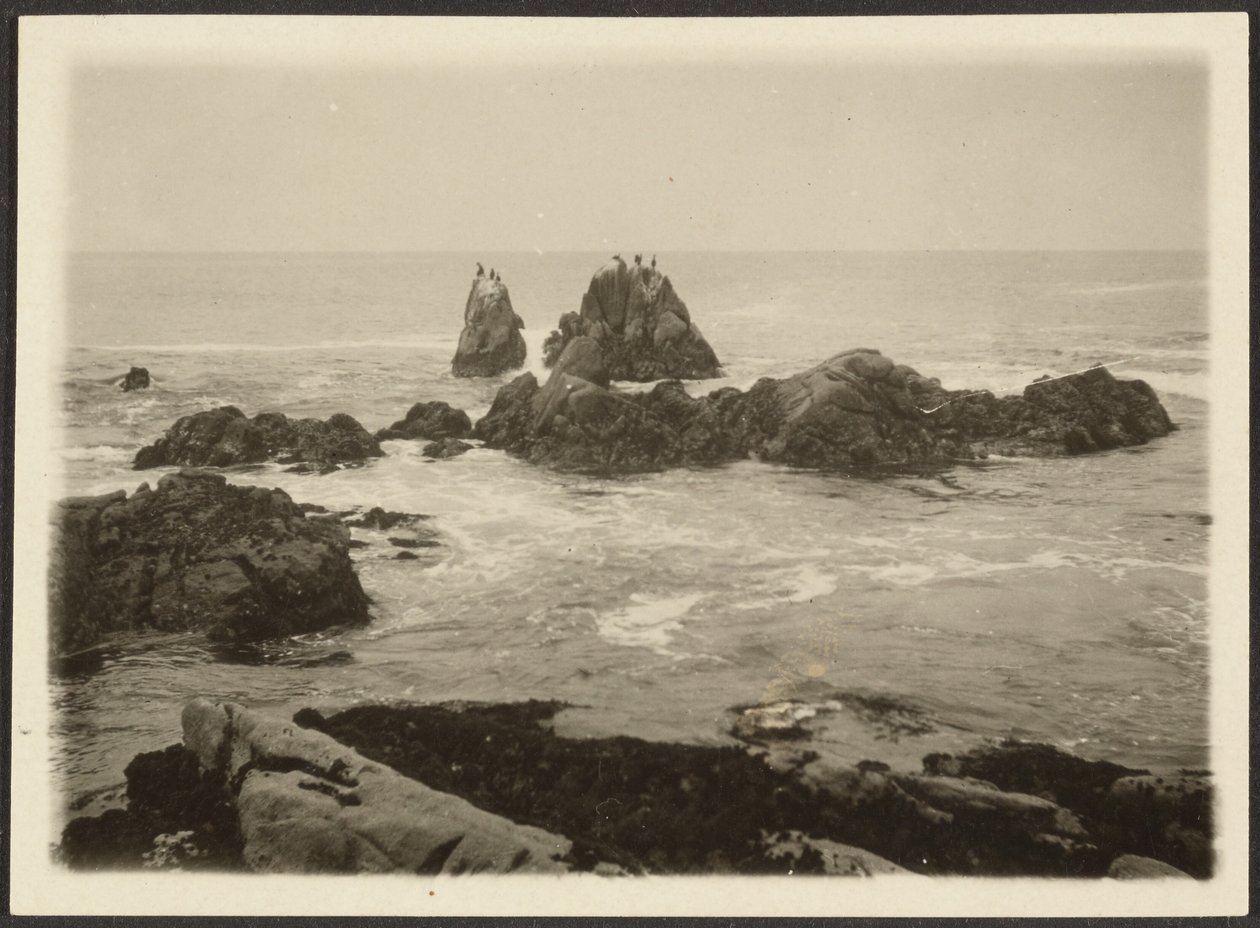 [Seascape] de Louis Fleckenstein
