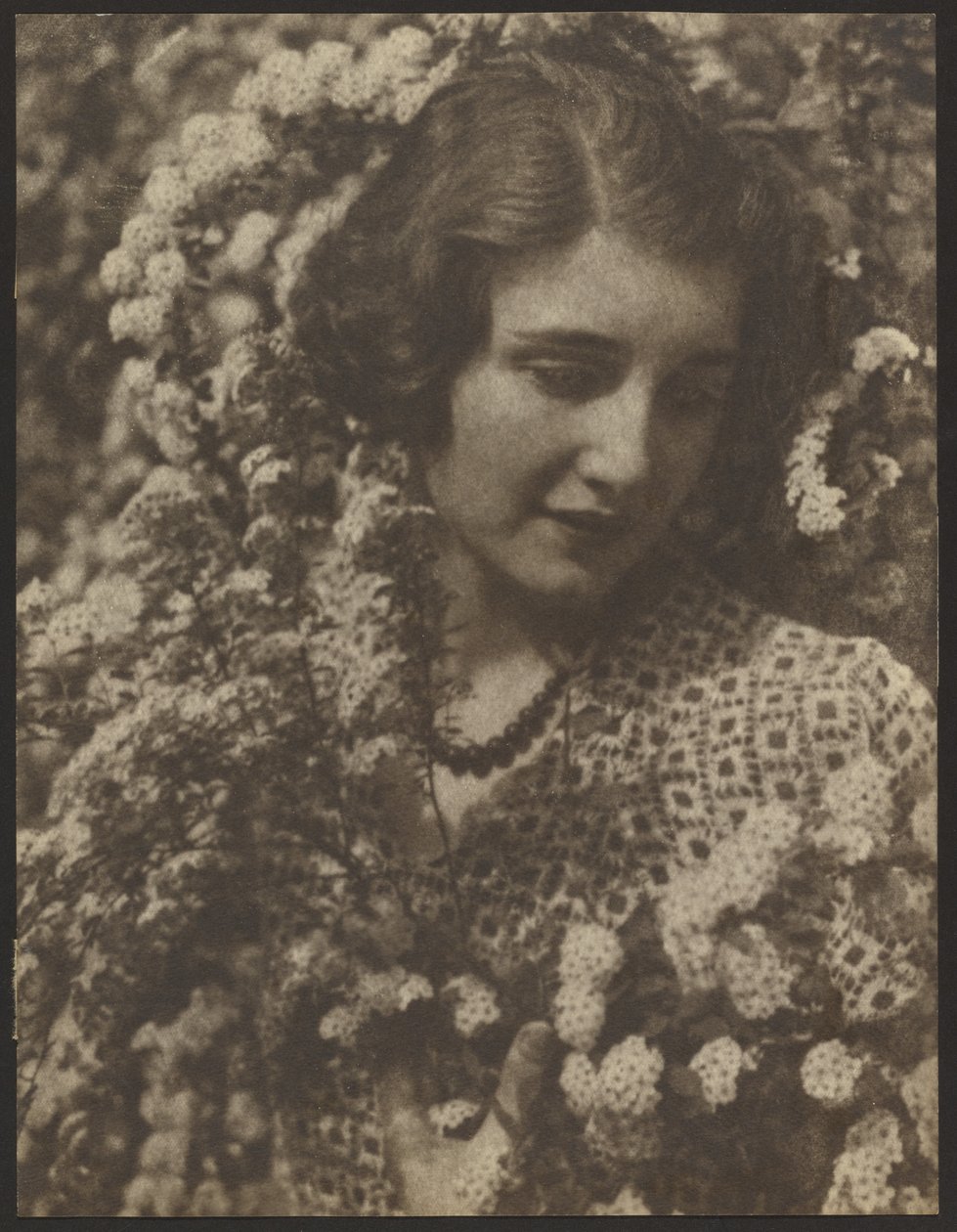 Espirea de Louis Fleckenstein