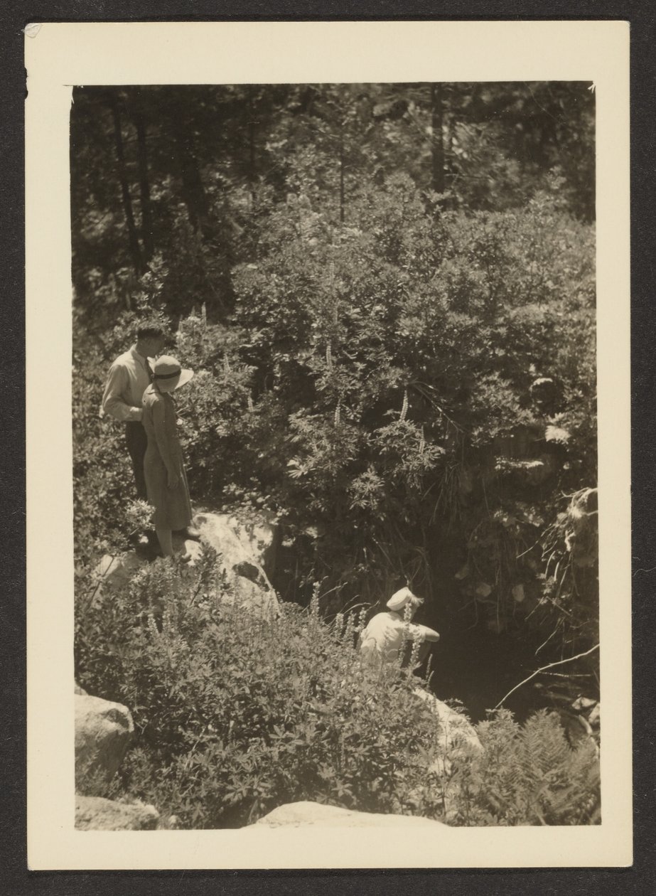 [Primavera en Fern Valley] de Louis Fleckenstein