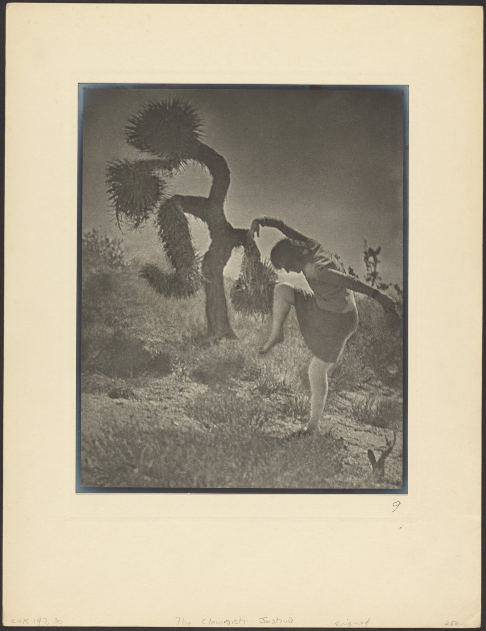El payaso Joshua de Louis Fleckenstein