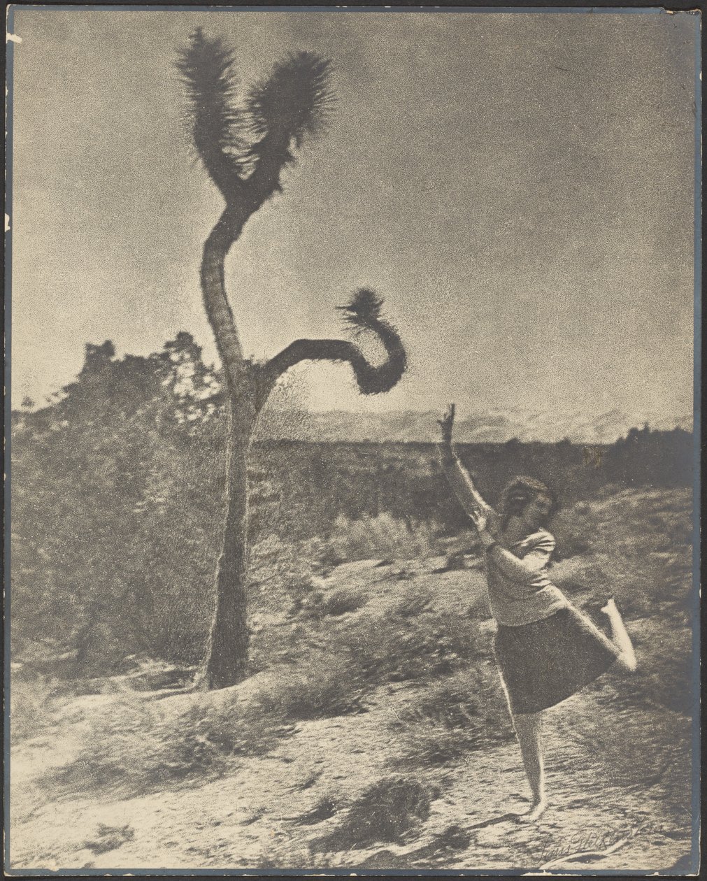 El giro en espiral de Louis Fleckenstein