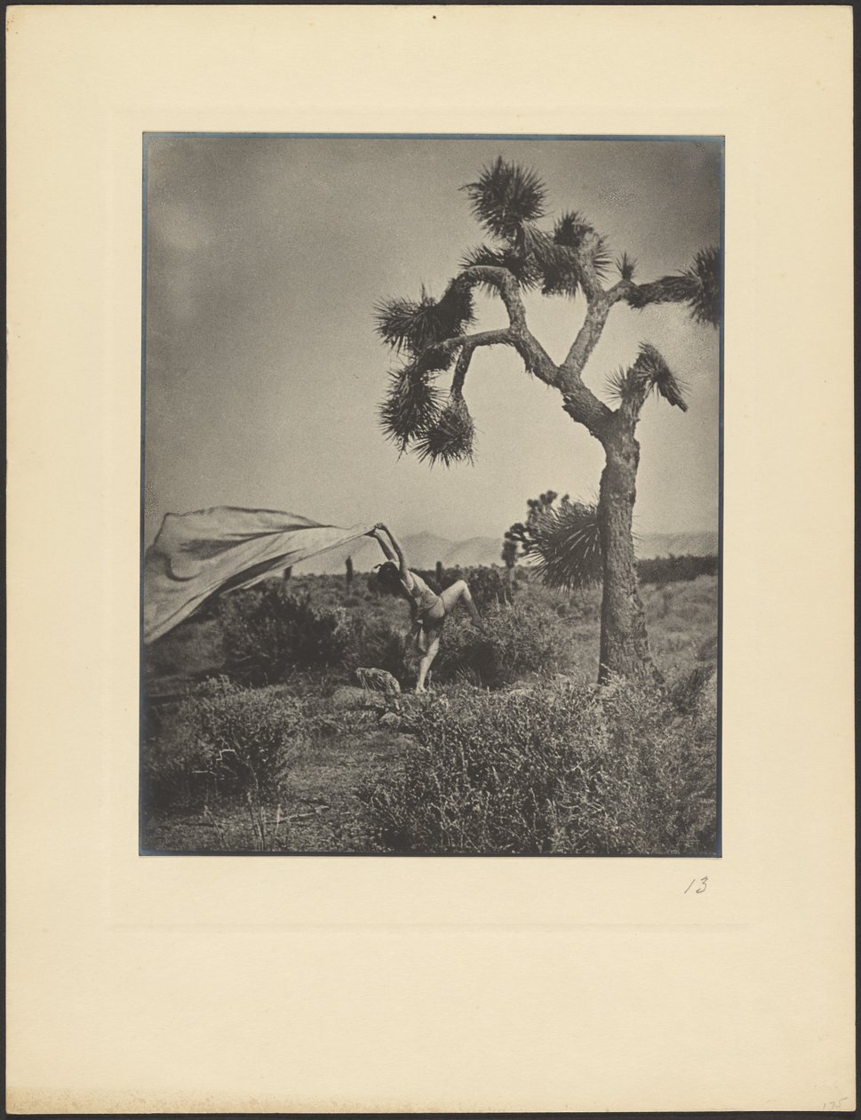 El viento del desierto de Louis Fleckenstein