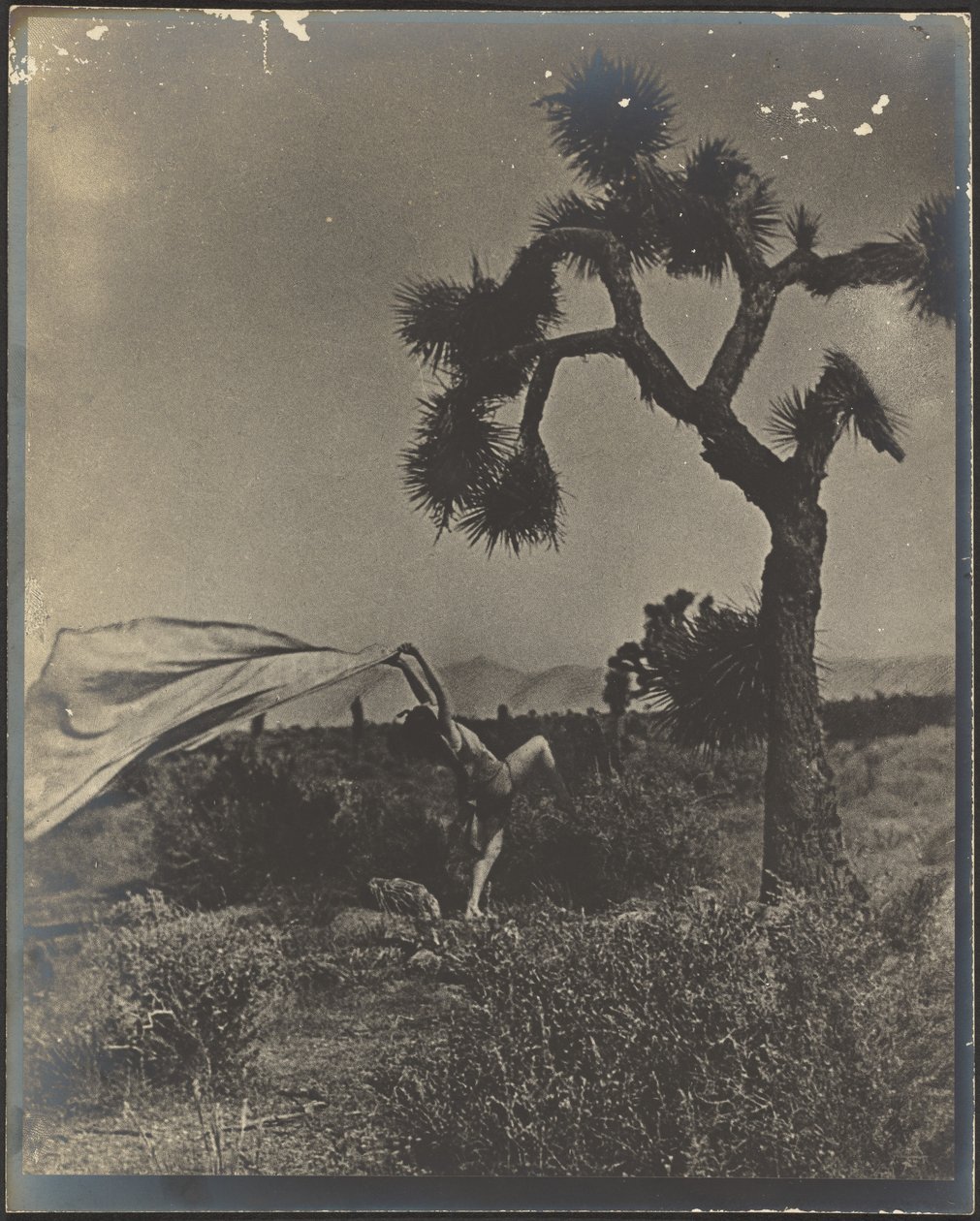 El viento del desierto de Louis Fleckenstein