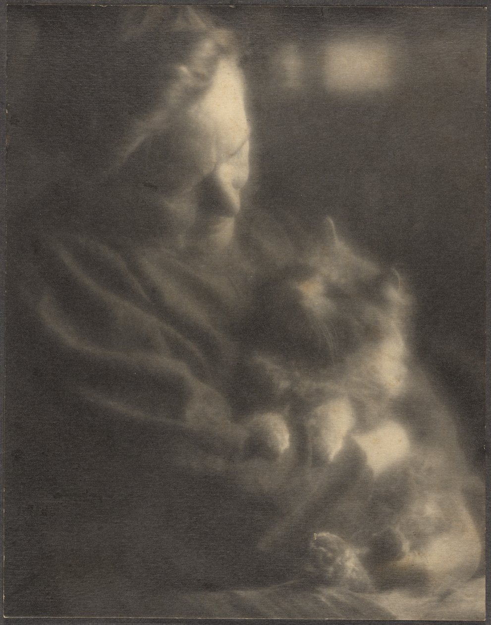 El angora doméstico de Louis Fleckenstein