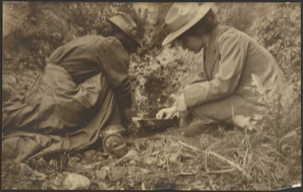 [Dos mujeres trabajando en un jardín] de Louis Fleckenstein