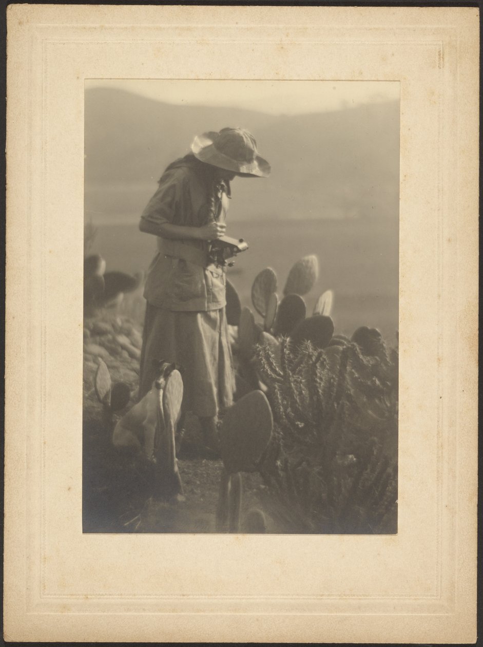 [Mujer tomando notas sobre cactus] de Louis Fleckenstein