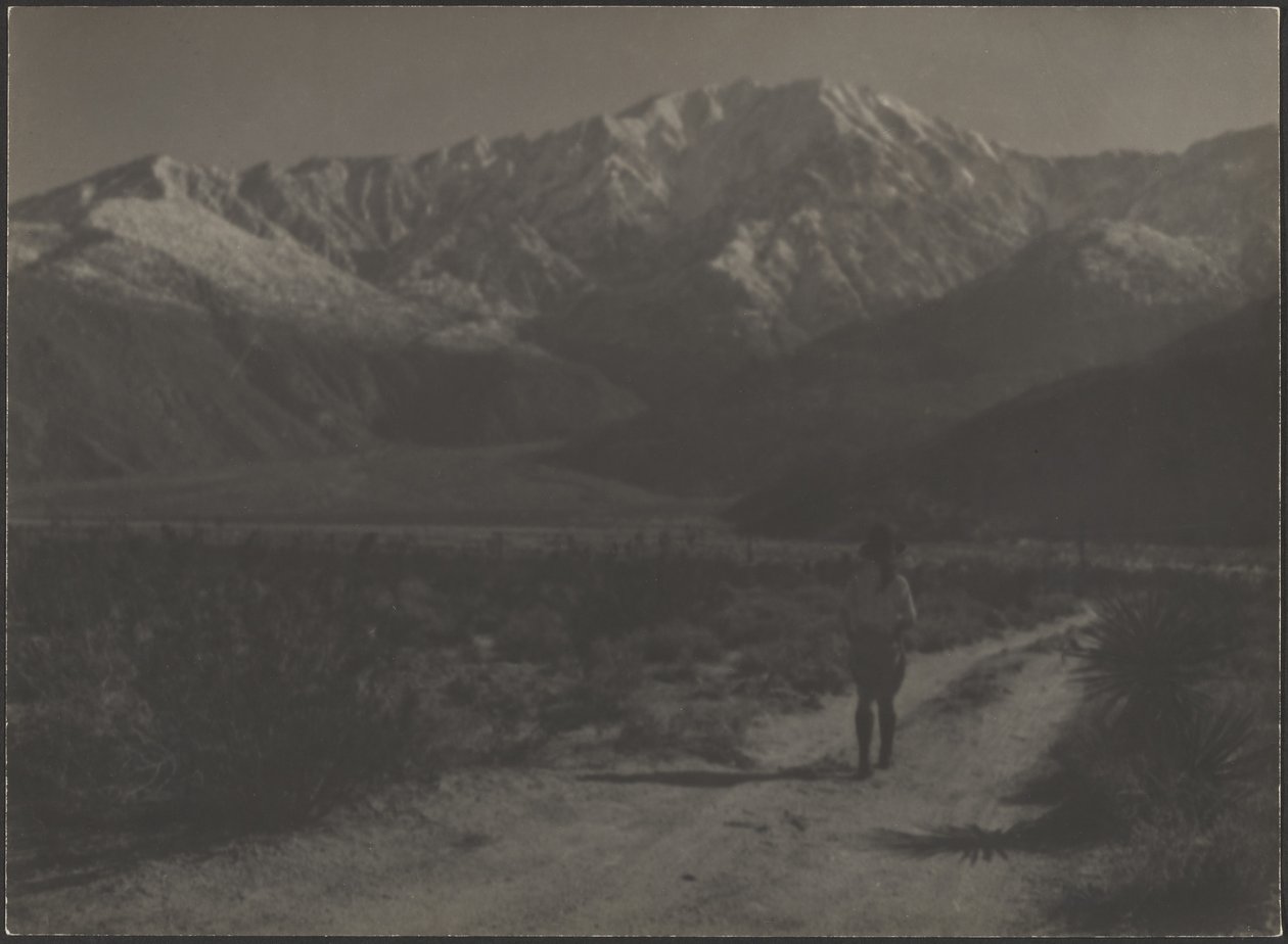 [Mujer caminando por un sendero hacia las montañas] de Louis Fleckenstein