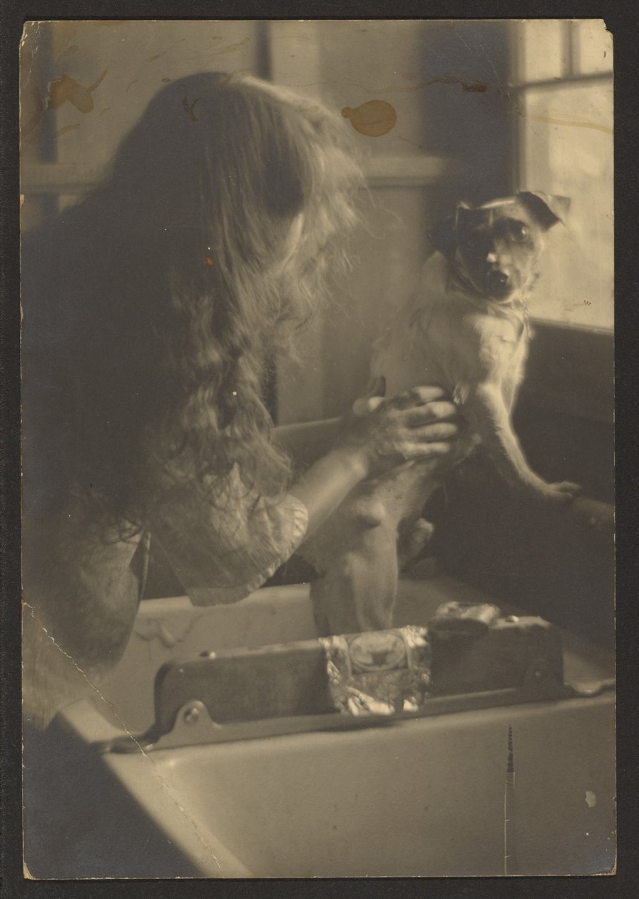 Mujer lavando un perro en el fregadero de Louis Fleckenstein