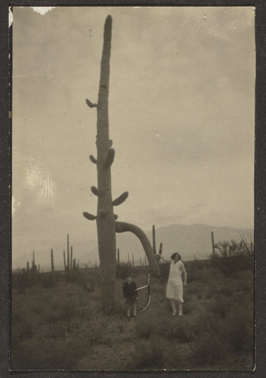 [Mujer y niño con cactus] de Louis Fleckenstein