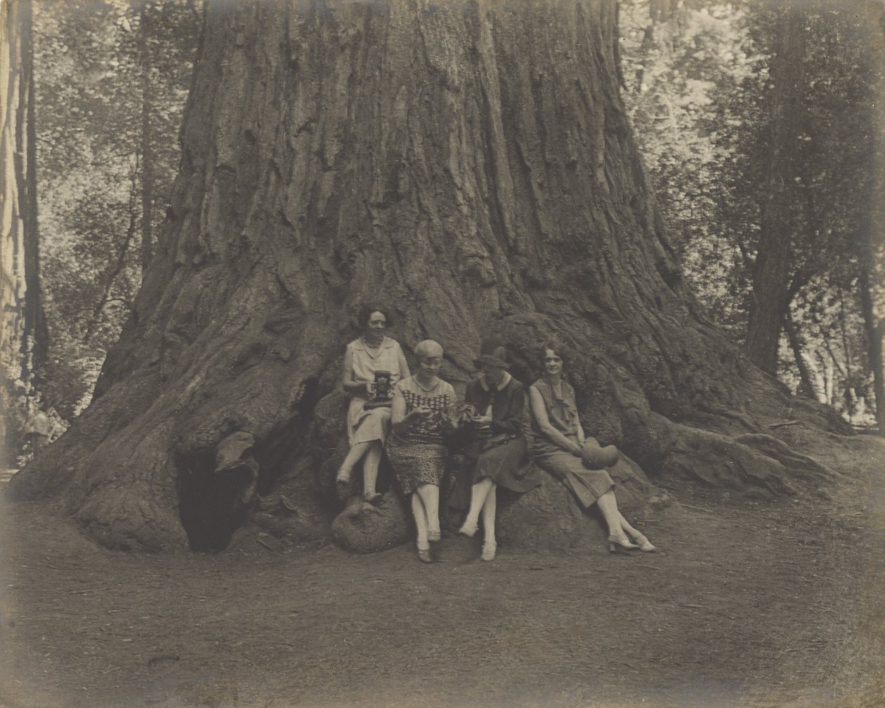 [Mujeres con cámaras en la base de un árbol] de Louis Fleckenstein