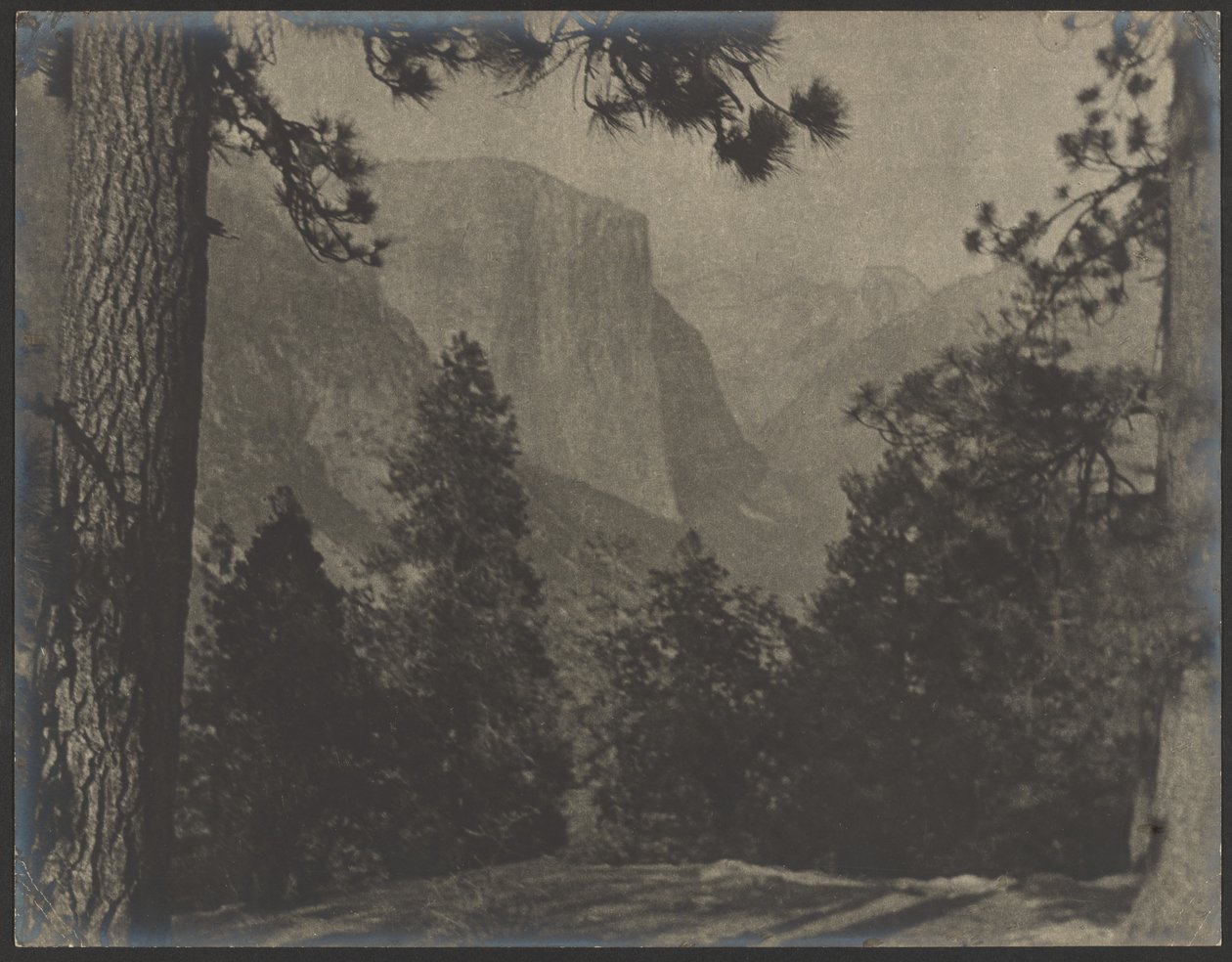 Yosemite, entre los pinos de Louis Fleckenstein
