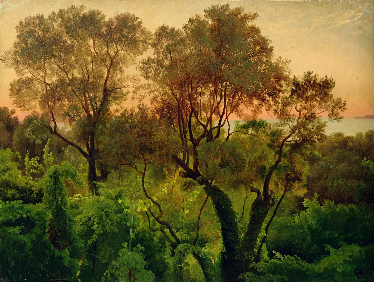 Ladera con olivos de Louis Gurlitt