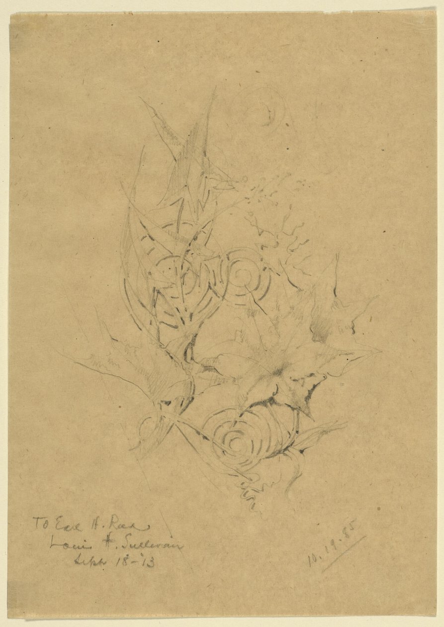 Estudio de la forma de las plantas de Louis H. Sullivan