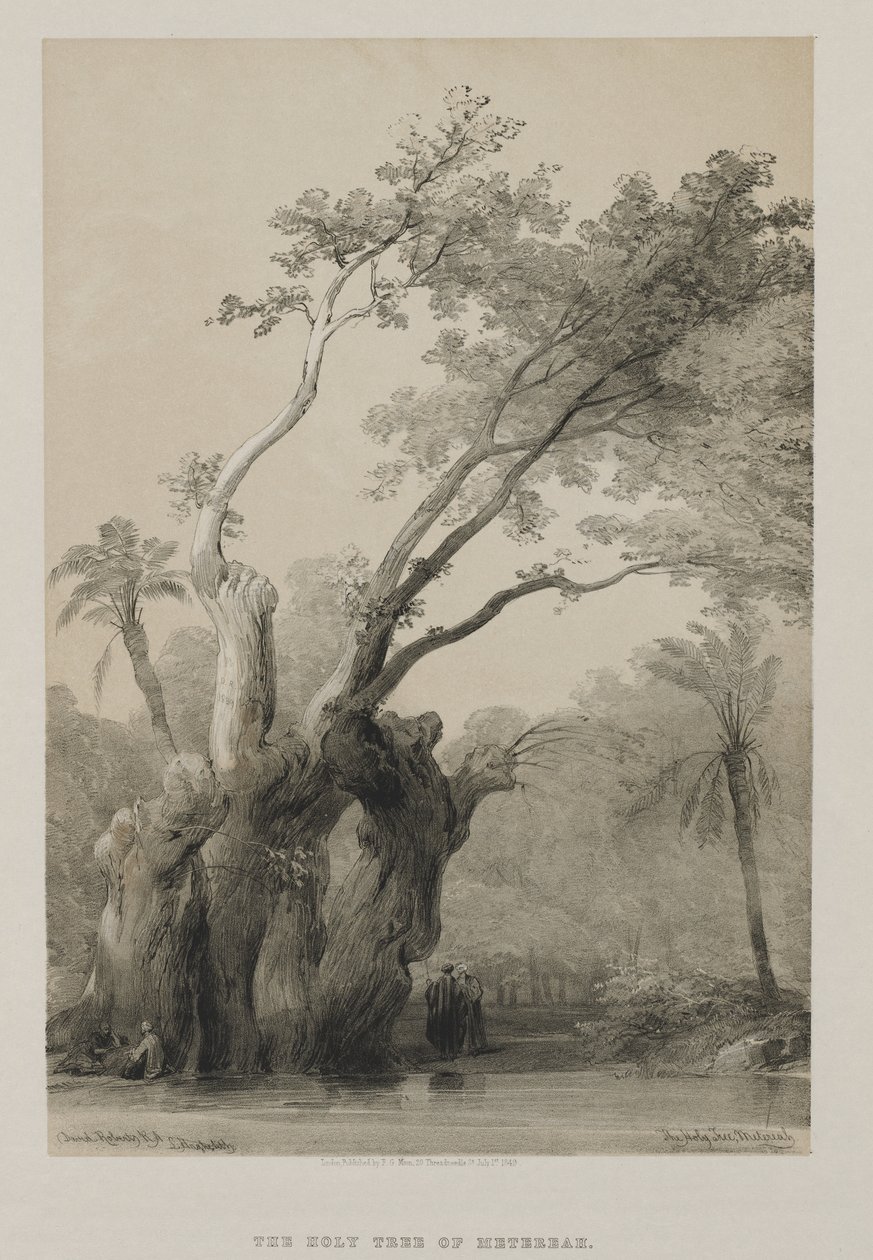 Egipto y Nubia, Volumen III: El Árbol Sagrado de Metereah, 1849 de Louis Haghe