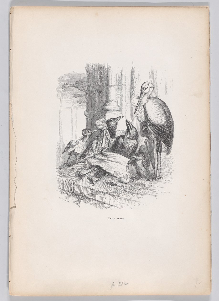 Yo era una viuda de Escenas de la vida privada y pública de los animales de Louis Henri Brévière