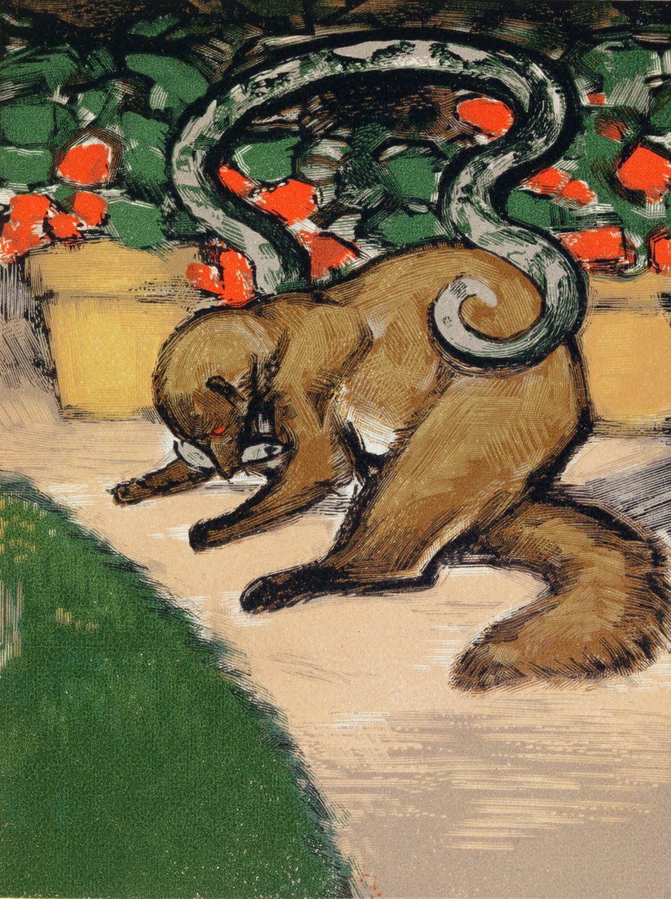 Rikki-Tikki-Tavi, ilustración de "El libro de la selva" de Rudyard Kipling (1965-1936) publicada en París de Louis Joseph Soulas