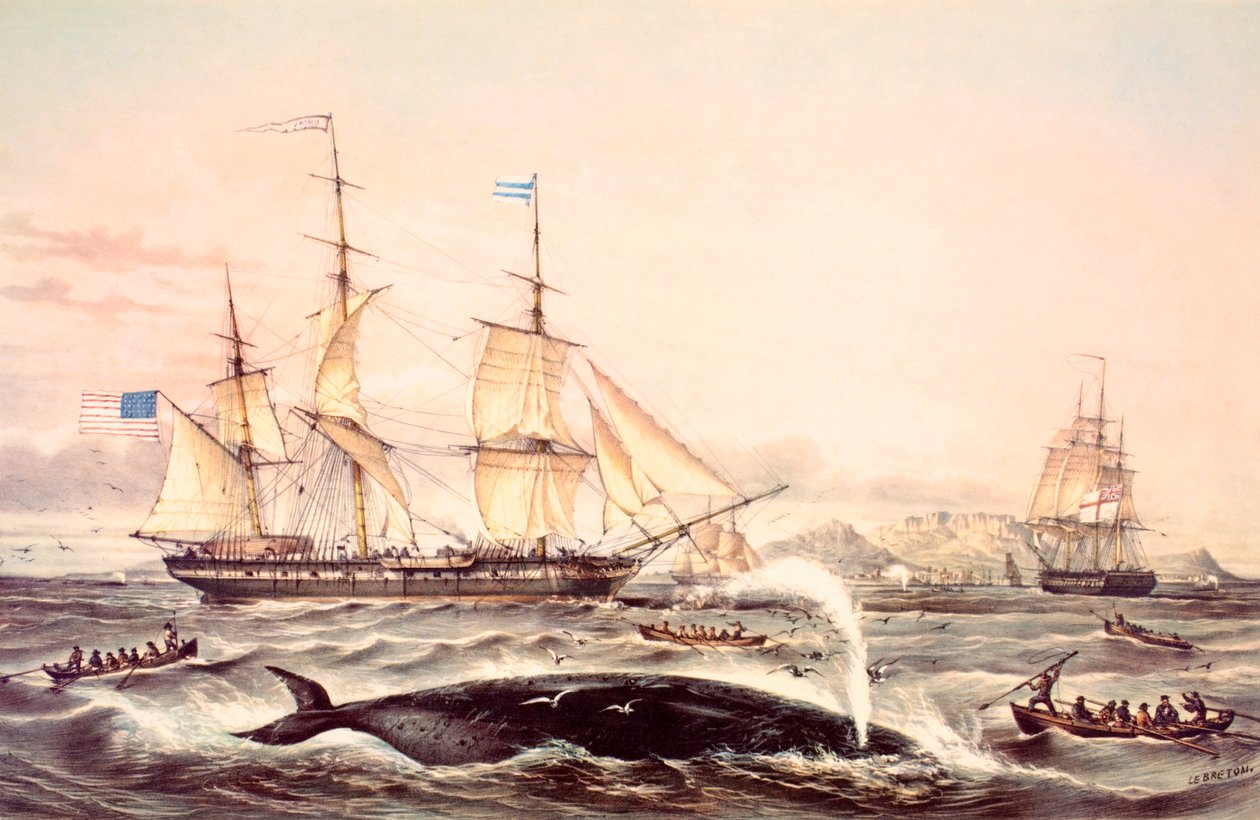Caza de ballenas en el Cabo de Buena Esperanza de Louis Le Breton