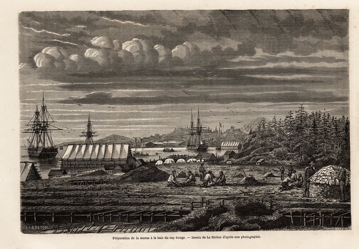 Preparación del bacalao en la bahía de Cap Rouge de Louis Le Breton