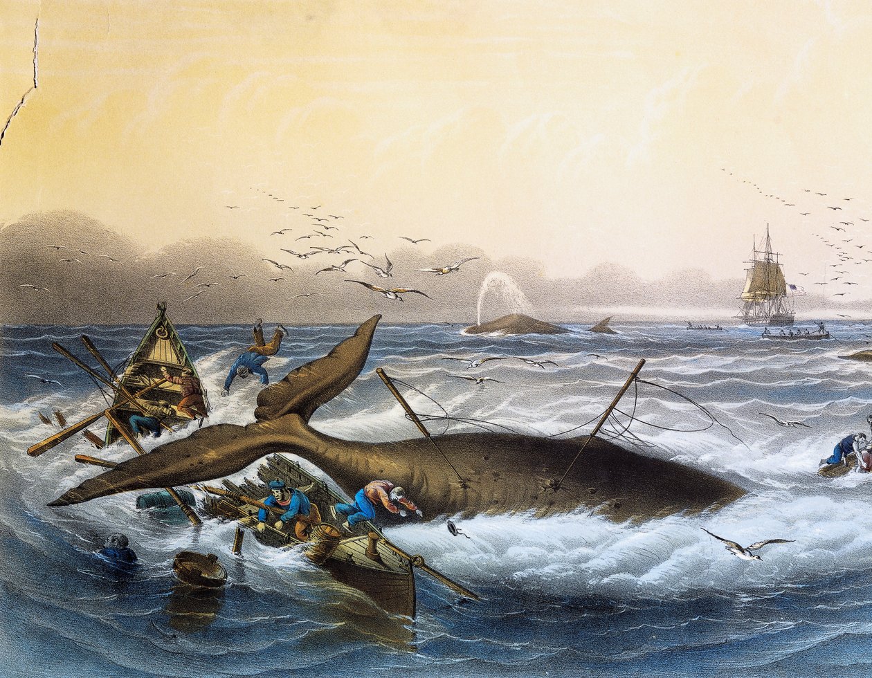 Caza de ballenas en los mares del sur, litografía en color de Louis Lebreton (fallecido en 1866) de Louis Le Breton