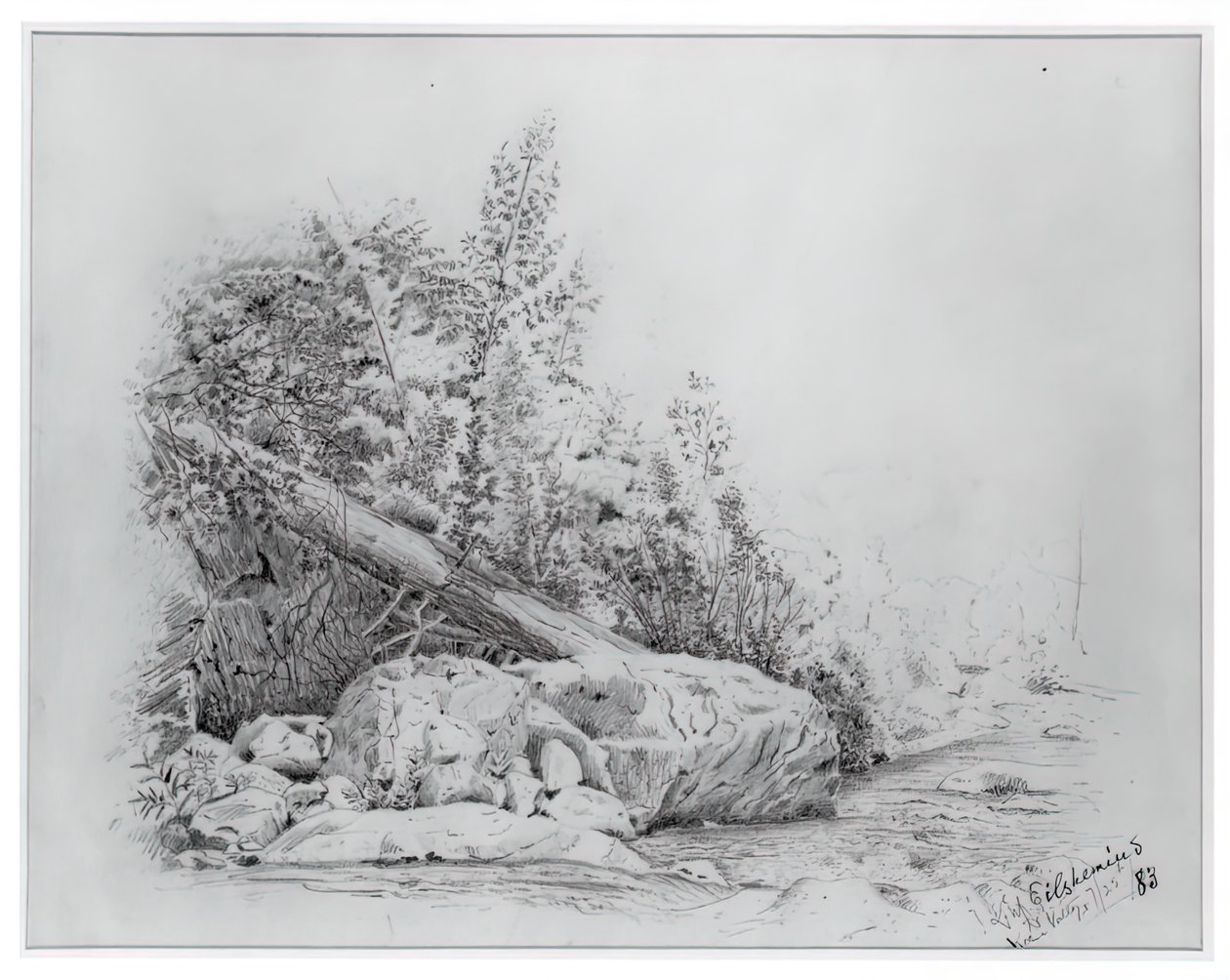 Árbol caído, Valle de Keene, 25 de julio de 1883 de Louis Michel Eilshemius