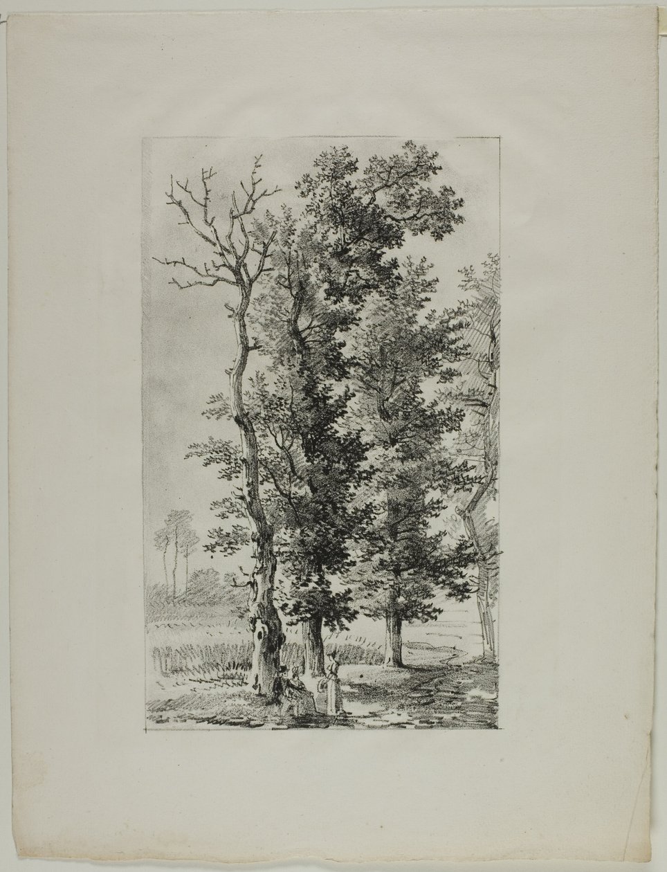 Estudio de Árboles de Louis Pierre Baltard