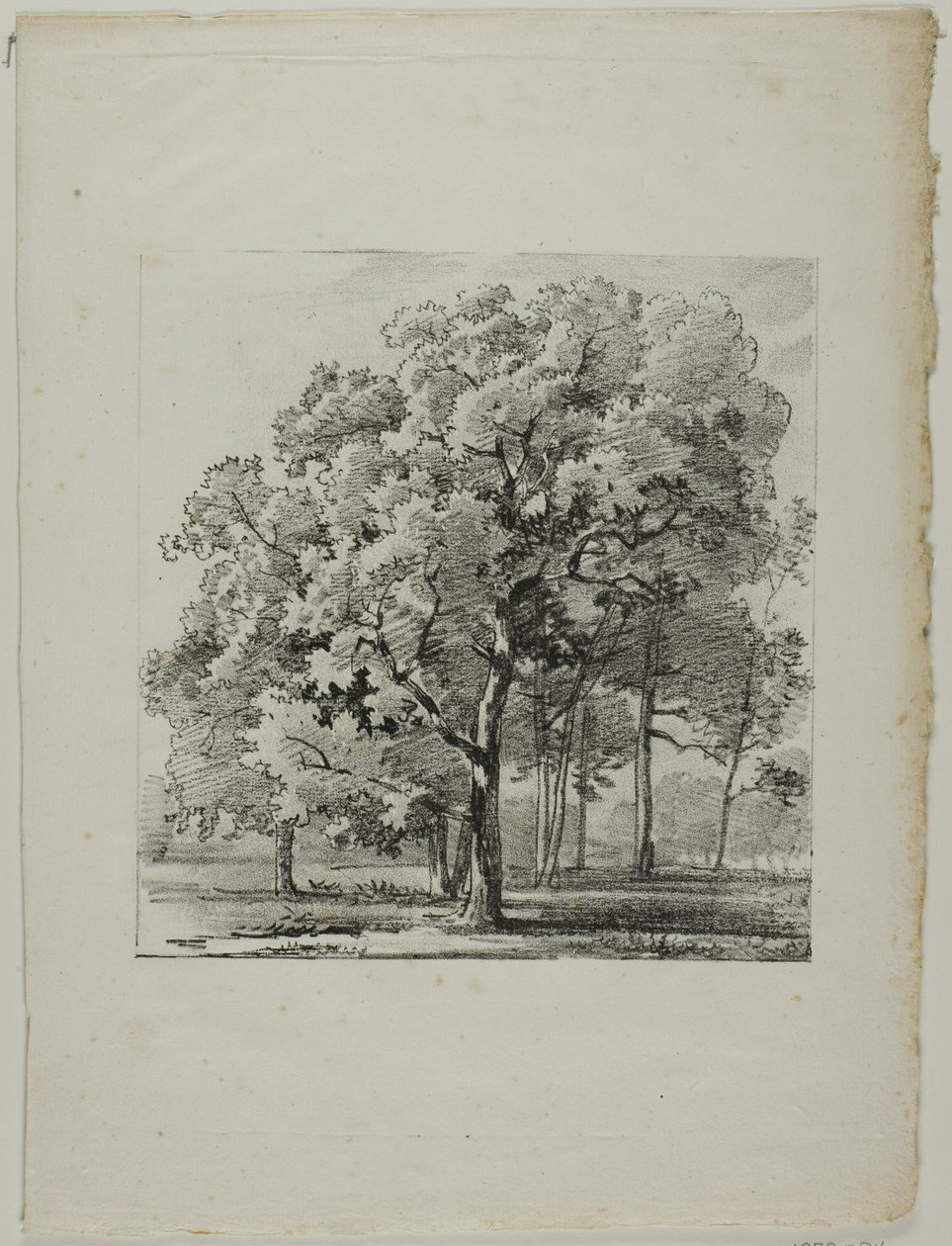 Estudio de árboles de Louis Pierre Baltard