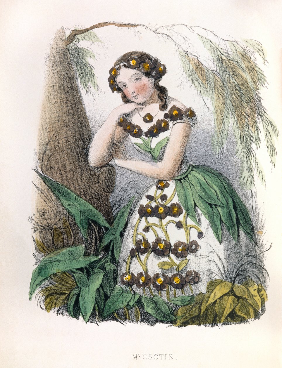  de Louis Simon (1810-1870) Lassalle