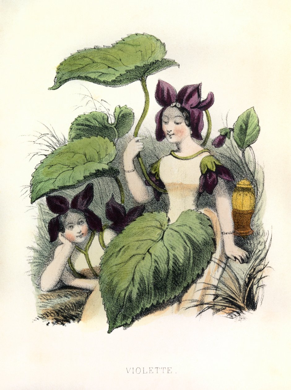  de Louis Simon (1810-1870) Lassalle