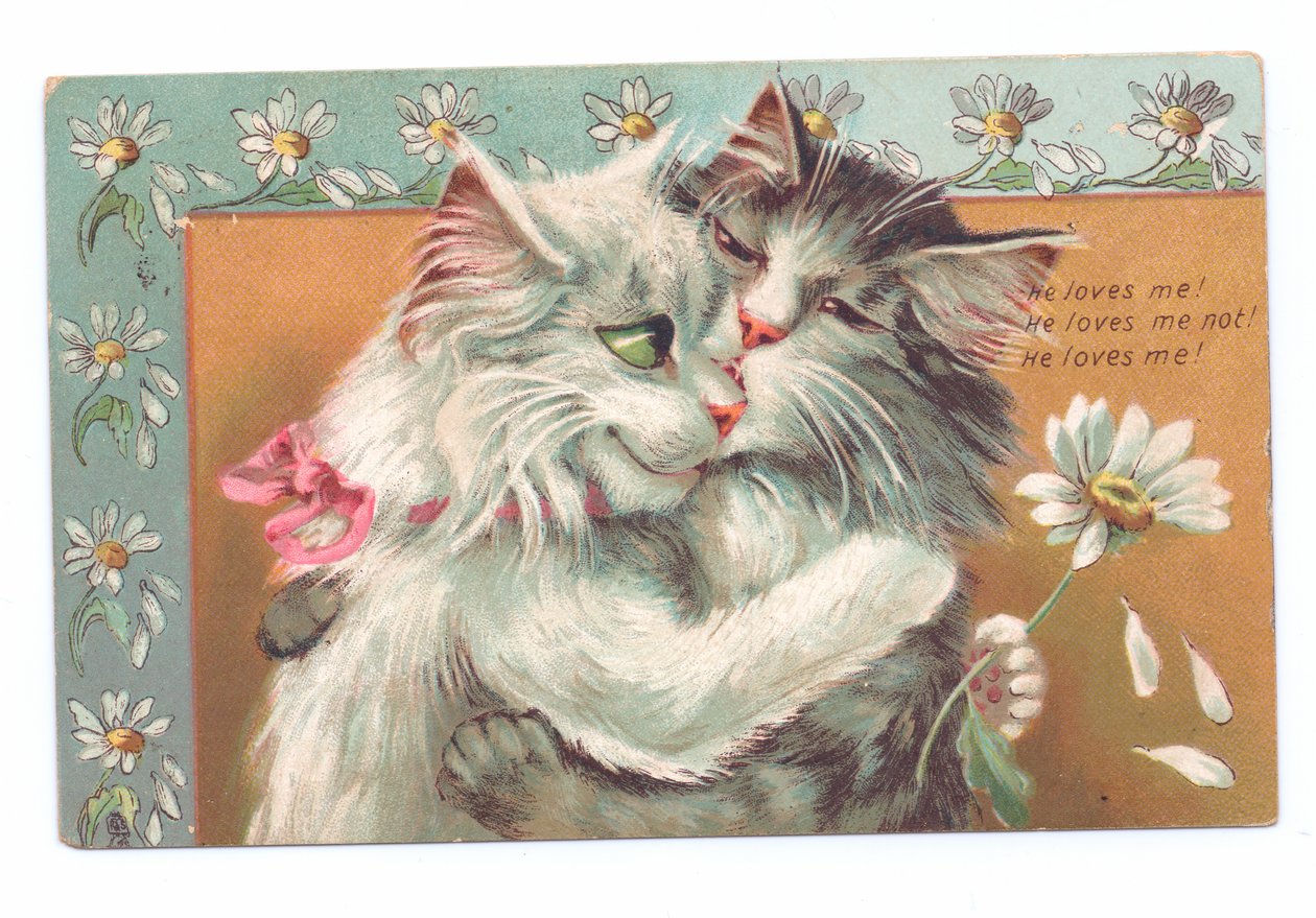 Postal eduardiana de dos gatos abrazándose, c.1910 de Louis Wain