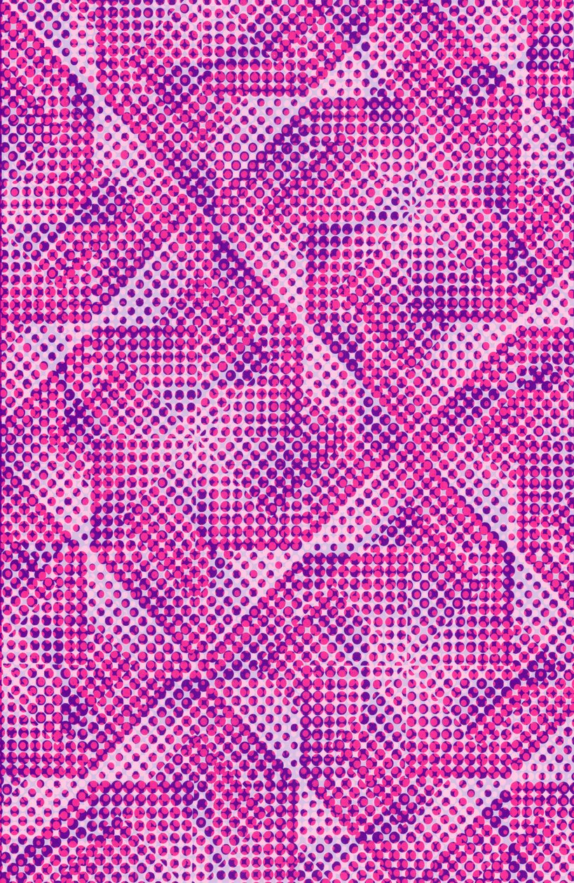 Dotty de Louisa Hereford