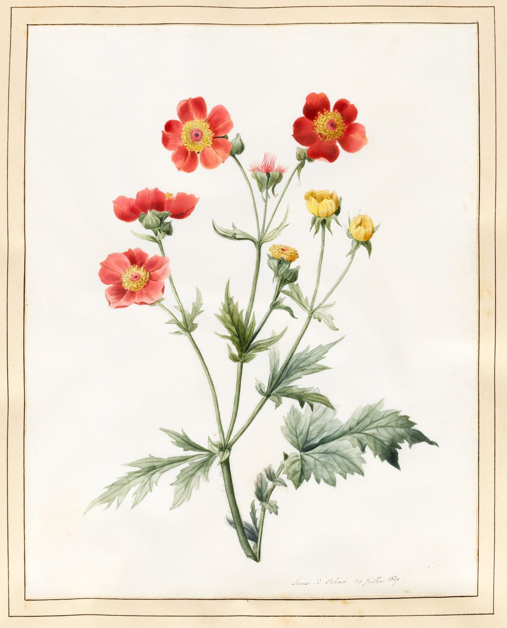 Composición, 1827 de Louise DOrleans
