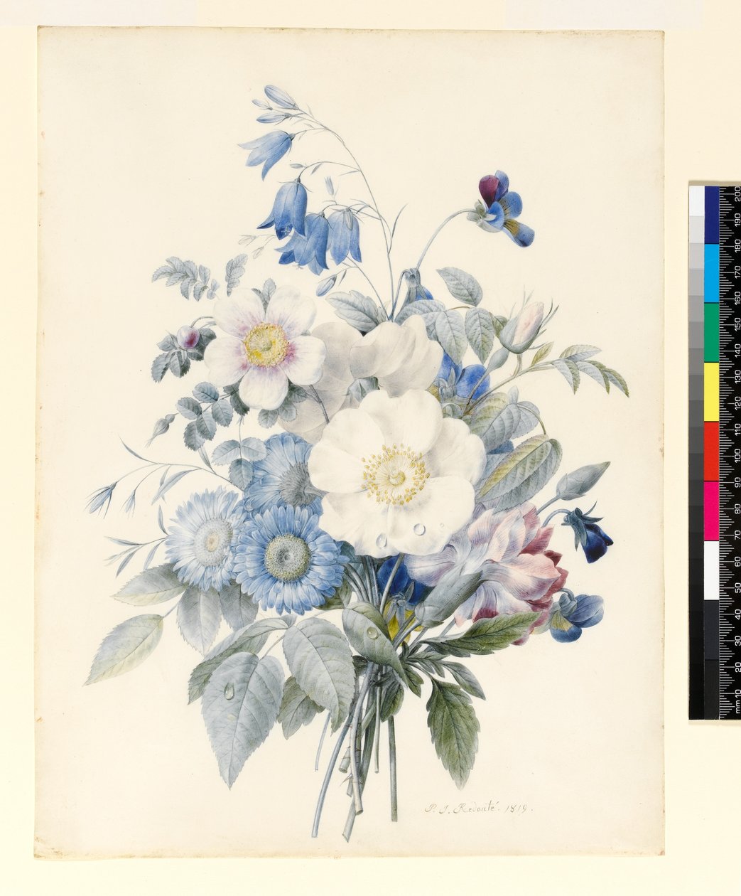 Ramo de flores de verano, 1820 de Louise DOrleans