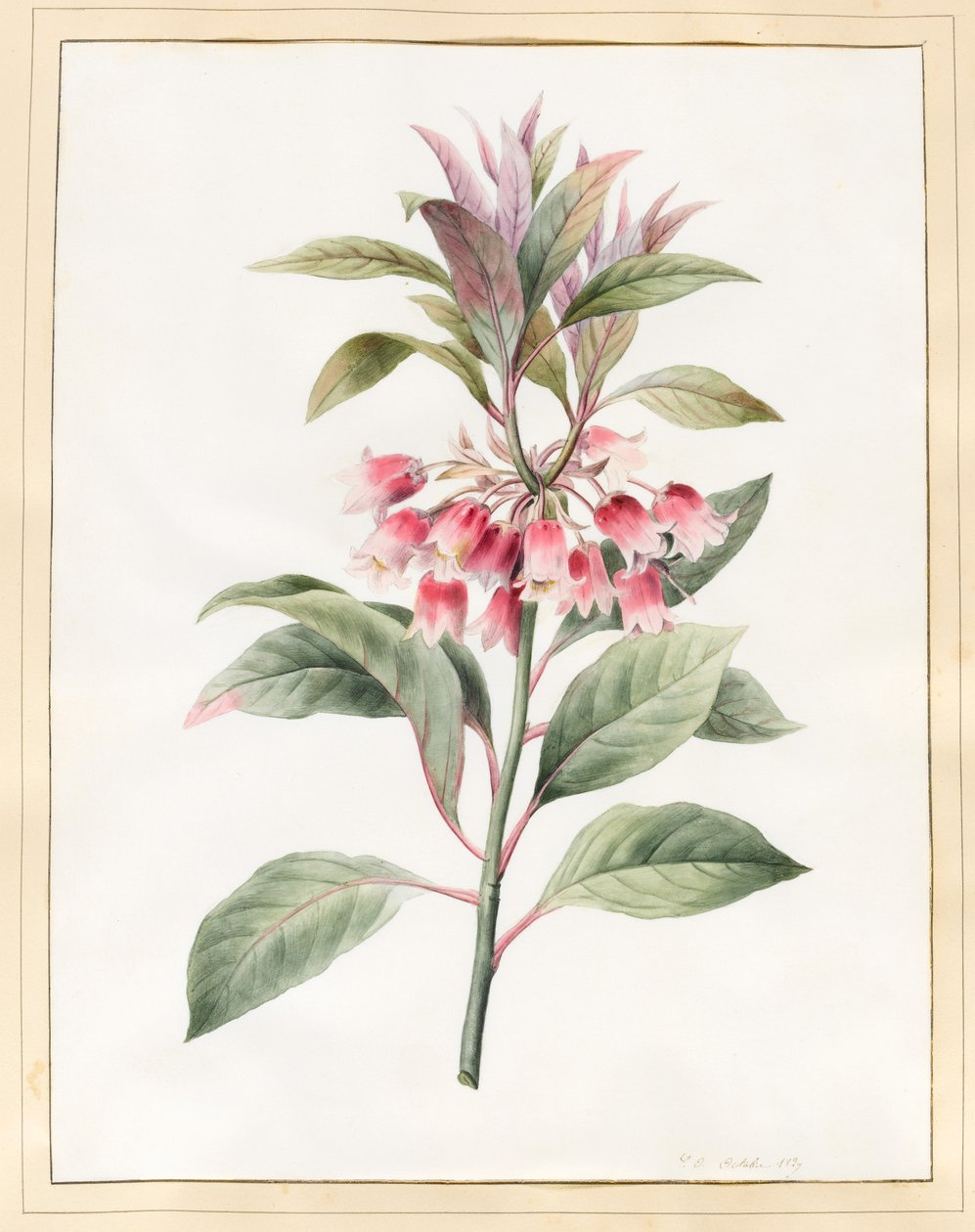 Sin título, 1827 de Louise DOrleans