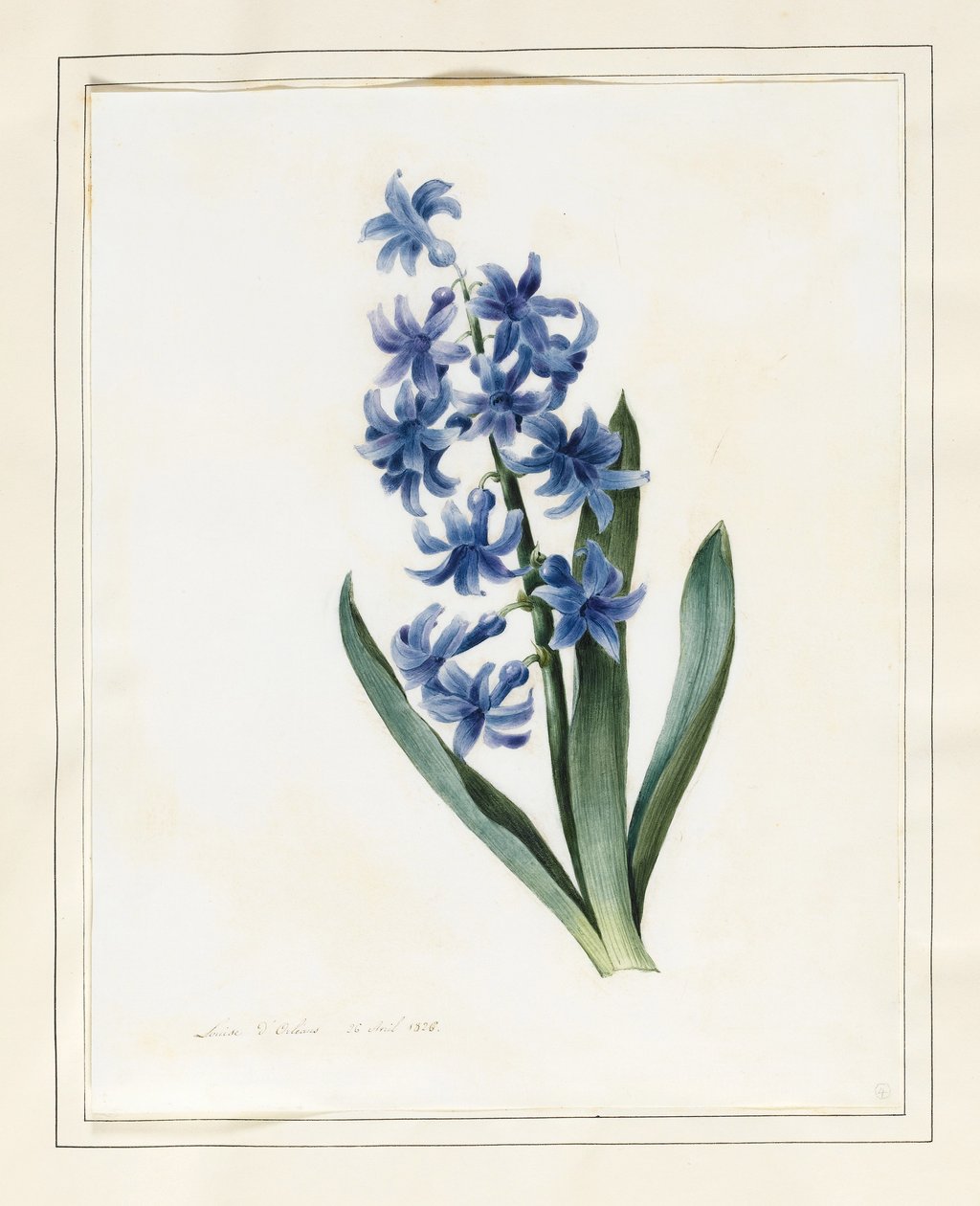Jacinto, 1826 de Louise DOrleans
