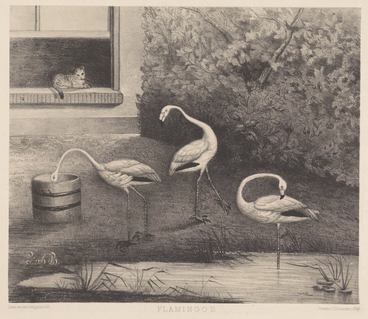 Tres flamencos y un gato de Louise Marie Françoise van der Beek