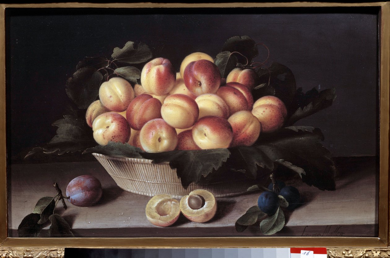 Naturaleza muerta con albaricoques. Cesta de albaricoques y ciruelas colocada al frente. Pintura de Louise Moillon de Louise Moillon