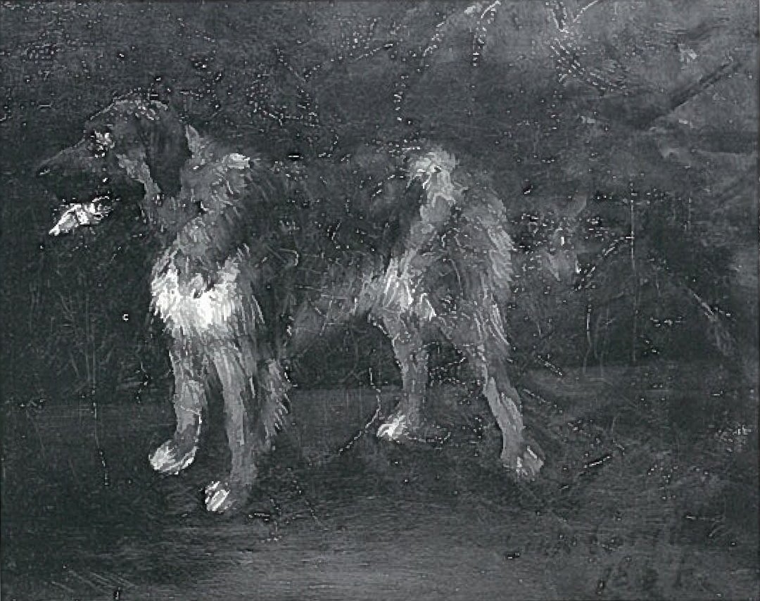Estudios de perros de Lovis Corinth