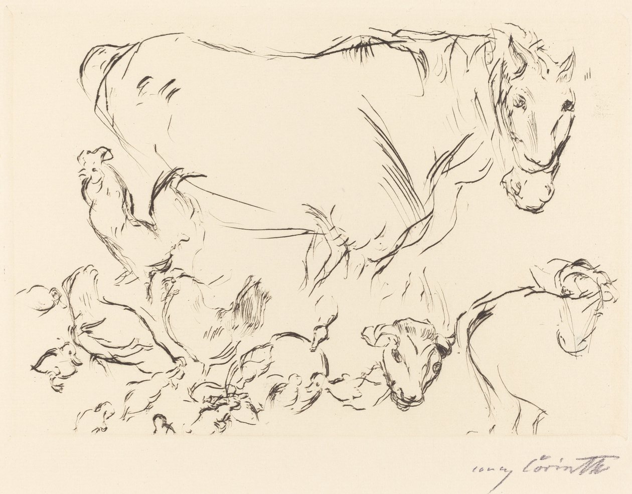 Estudios de animales de Lovis Corinth