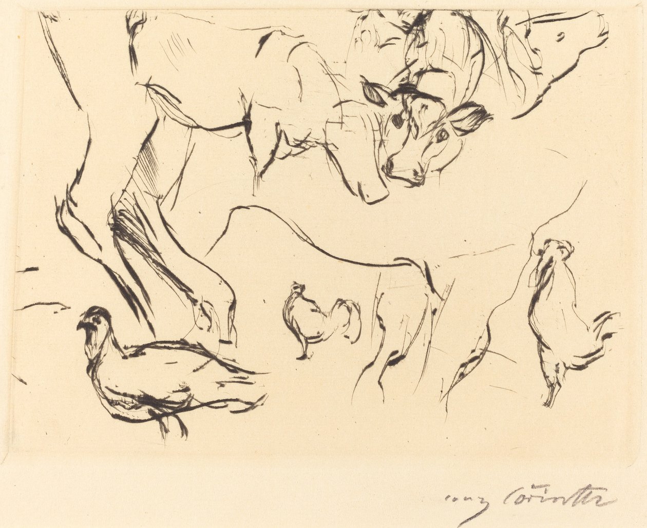 Verschiedene Tierstudien Estudios de animales, 1917 de Lovis Corinth