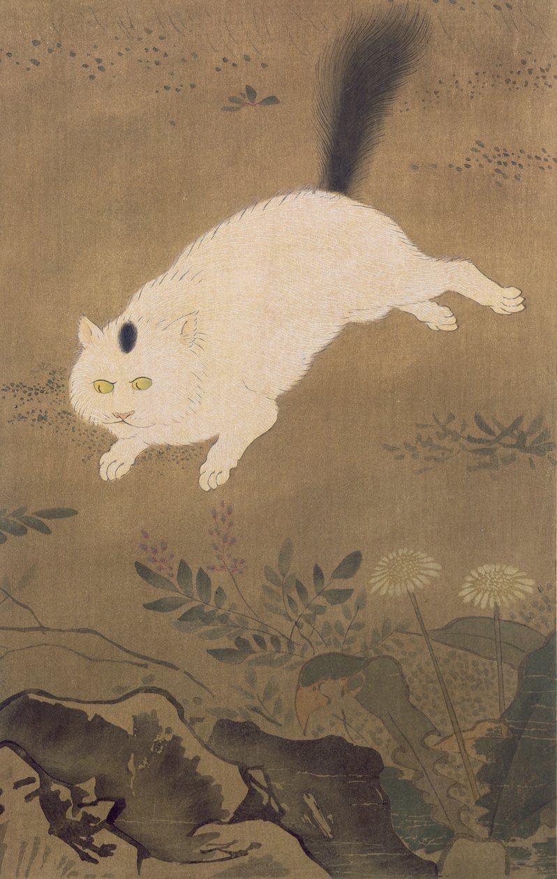 Un gato blanco, ilustración de la revista The Kokka, publicada en Japón, 1896-7 de Lu Ji