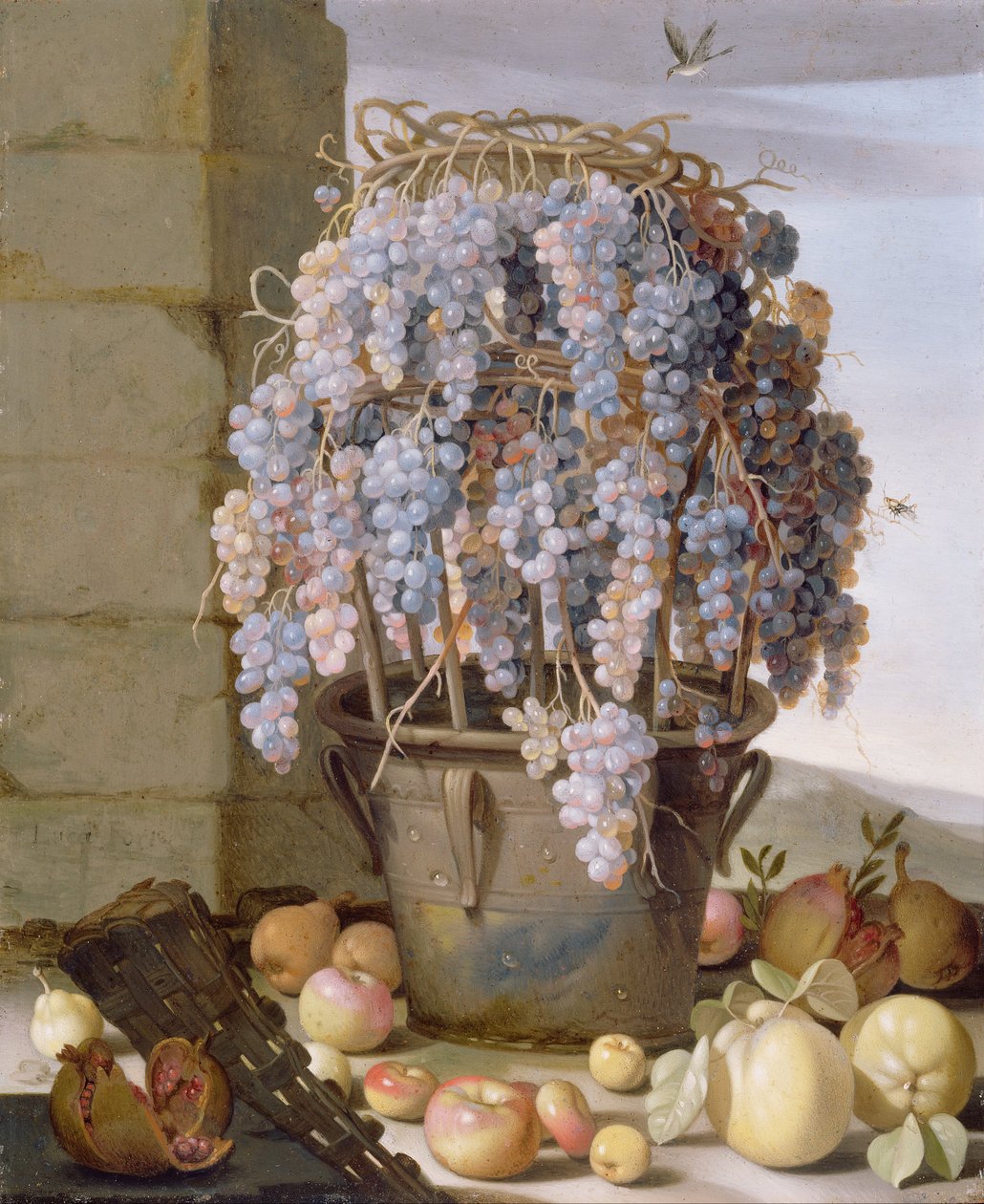 Naturaleza muerta con uvas y otras frutas de Luca Forte